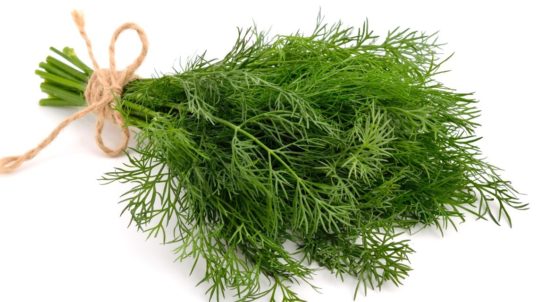 DILL DIP IMAGE