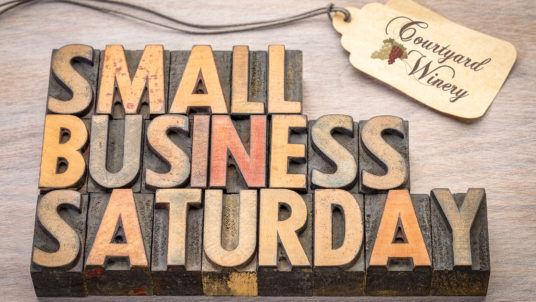 Small Biz Saturday logo