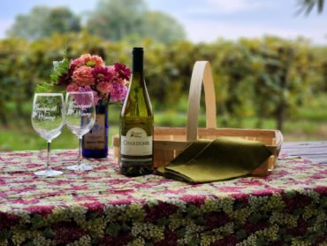 Picnic in the vineyard picture